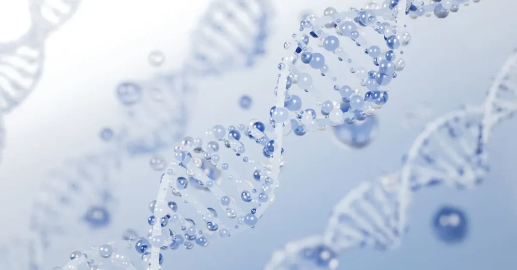 A Beginner's Guide to Peptides: What They Are and How They Work