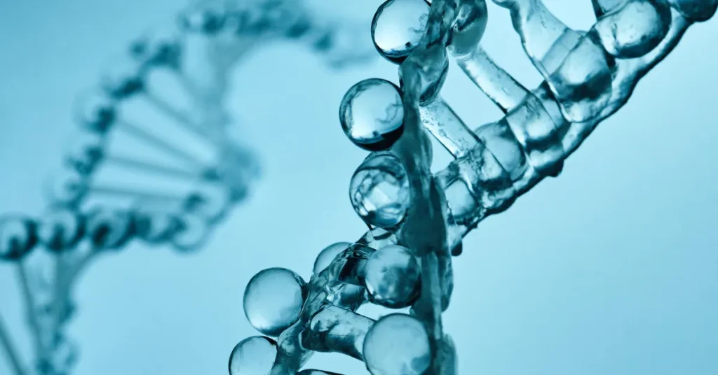 Semax, Selank, Dihexa, and the Science of Nootropic Peptides